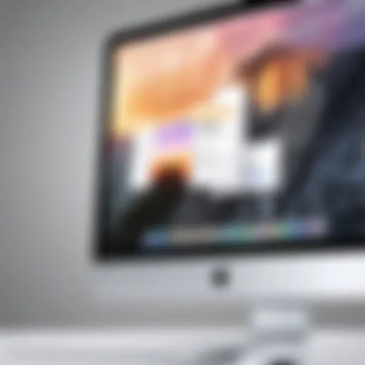 Overview of Safari browser interface on Mac