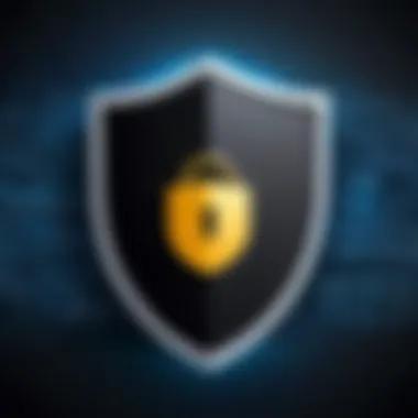 Protecting Your Online Privacy A locked shield symbolizing online privacy.