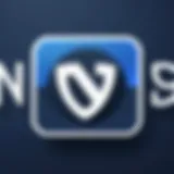 NordVPN logo representing online security