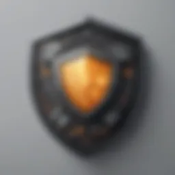 Data Security Shield