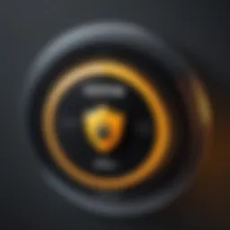 Digital Security System Shield