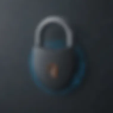 Locking Down Your Privacy Online Online Privacy Lock
