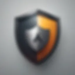 Online Security Shield icon