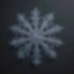 Prismatic Snowflake in Macro View