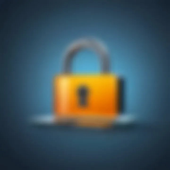 SafePeeks Privacy Lock Icon