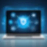 Privacy Protection Illustration