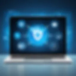 Privacy Protection Illustration