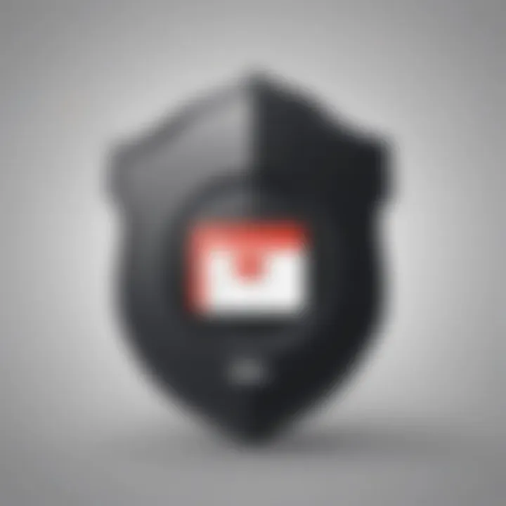 Privacy Protection Shield Icon