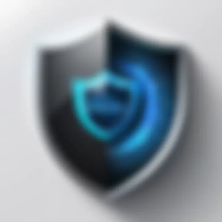 Privacy Protection Shield