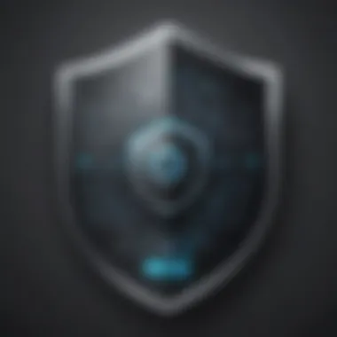 Privacy Settings Shield