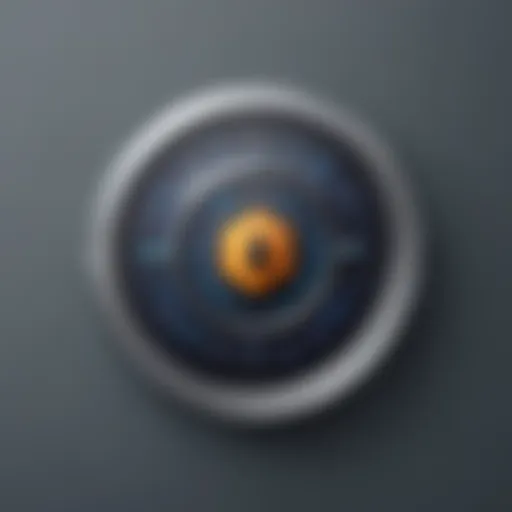 Privacy Shield Icon