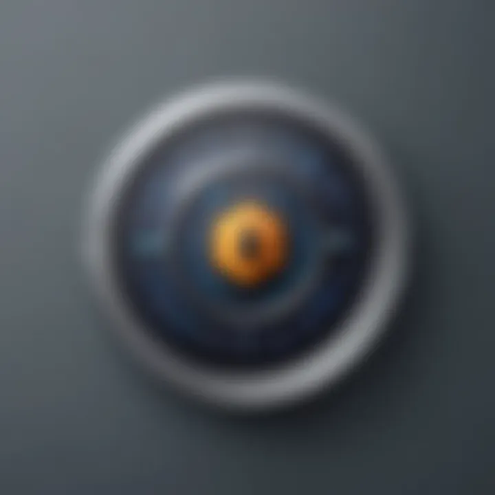 Privacy Shield Icon