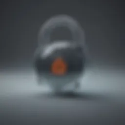Secure Lock symbolizing fraud protection