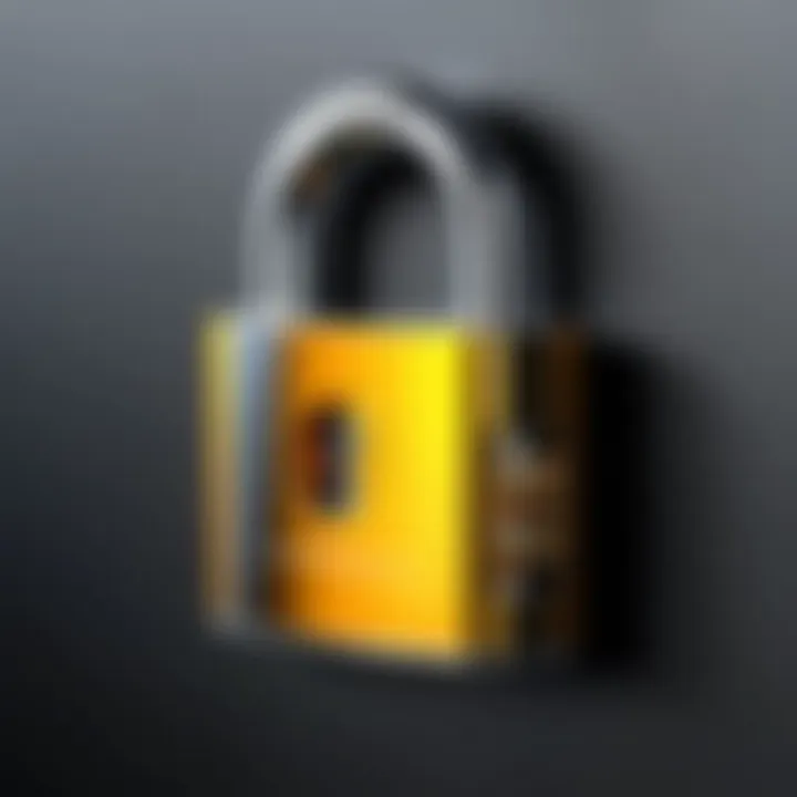 A digital padlock representing the importance of safeguarding personal information