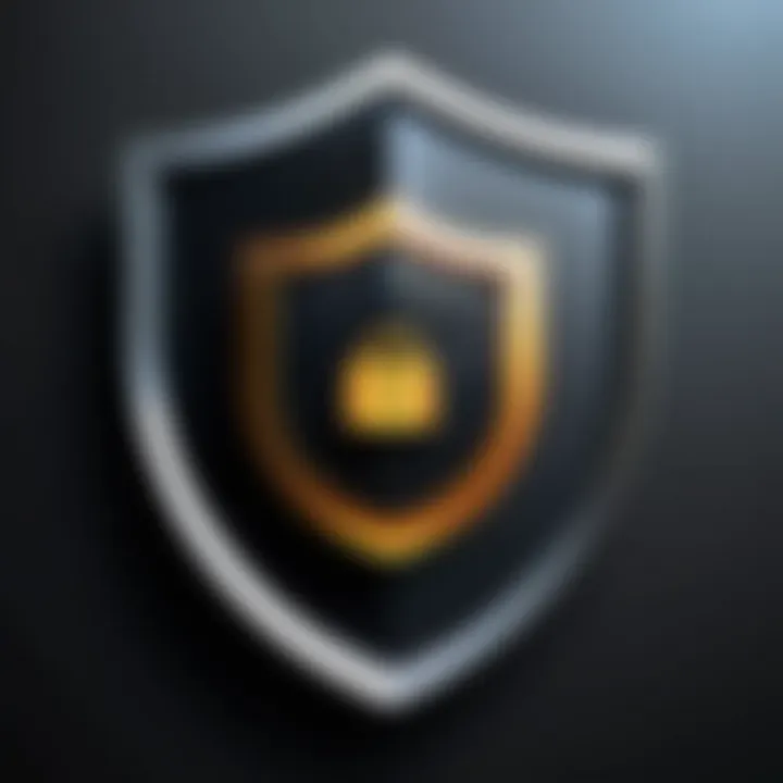 A shield symbolizing online security and protection