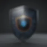 Digital Security Shield Concept