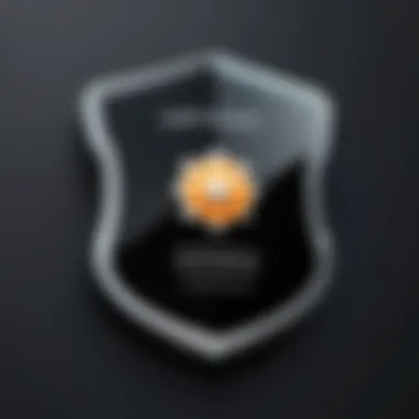 Safety Measures Shield Icon