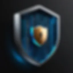 Secure Data Encryption Shield