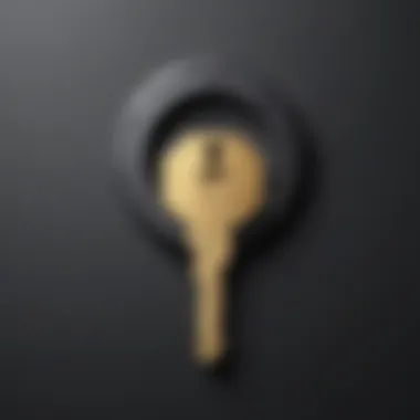 Key to Secure Online Communication Digital Encryption Key