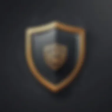 Security Shield Icon