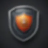 Shield emblem representing online security