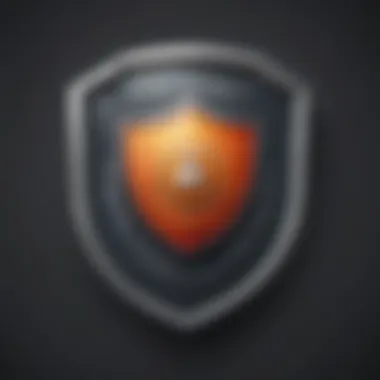 Shield emblem representing online security