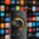 Visual representation of the Fire Stick interface