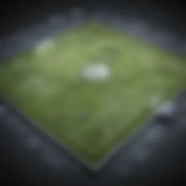 Strategic Tactics on the Field Strategic Tactics on the Field