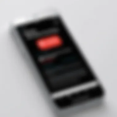 Website Blocking Settings on Mobile Device Smartphone displaying website blocking settings