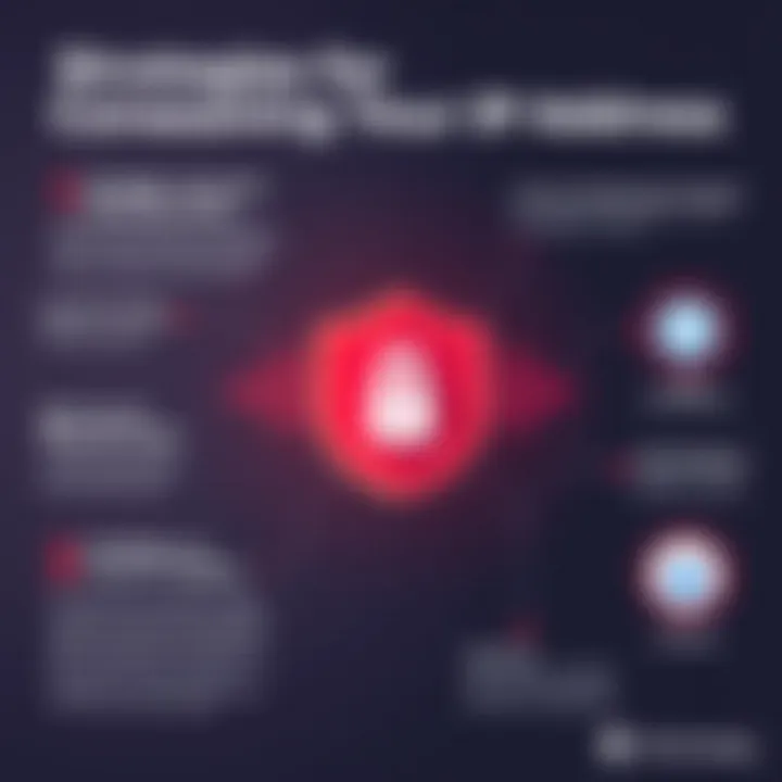 Infographic detailing strategies for IP address concealment