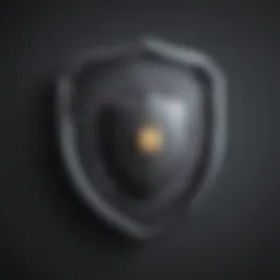 Illustration of a shield with a lock symbol
