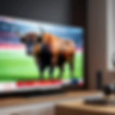 Cutting-Edge Technology Streaming Bulls Game on Smart TV