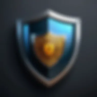 Illustration of a shield symbolizing online security