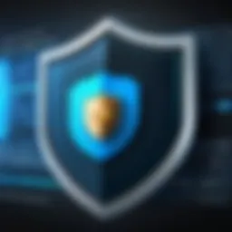 A secure digital shield representing online privacy