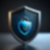 Shield with lock icon