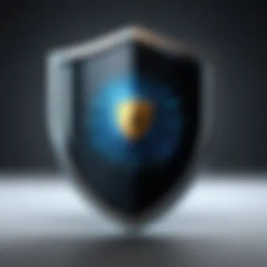 Data Protection Shield Design Data Protection Shield Design