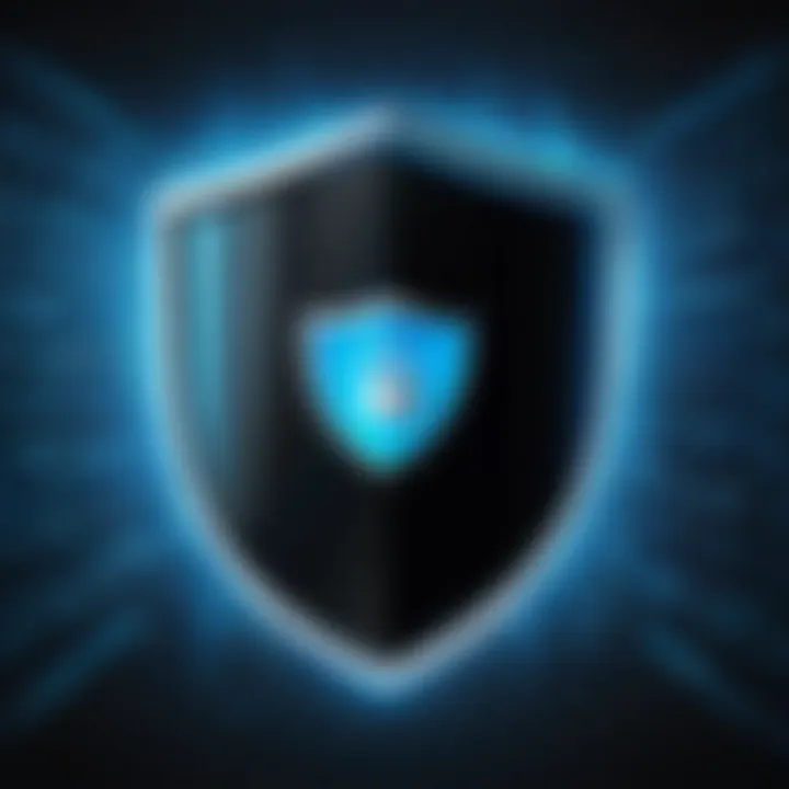 A digital shield representing online privacy and security.