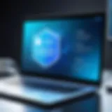 Conceptual representation of digital privacy