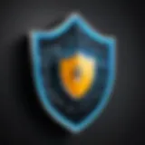 A digital shield representing online security