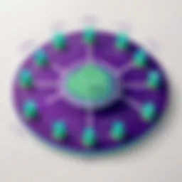 Visual representation of the Tor network architecture