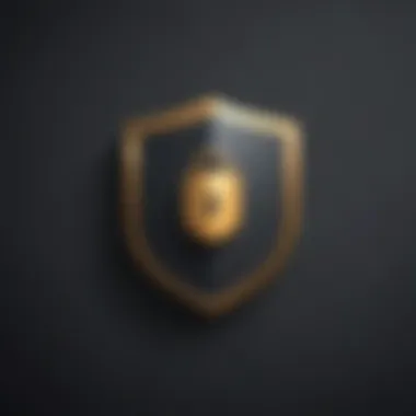 Shield and Lock Security Concept Illustration Digital security concept with shield and lock