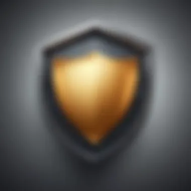 Digital Shield Privacy Protection Illustration Internet privacy protection with digital shield