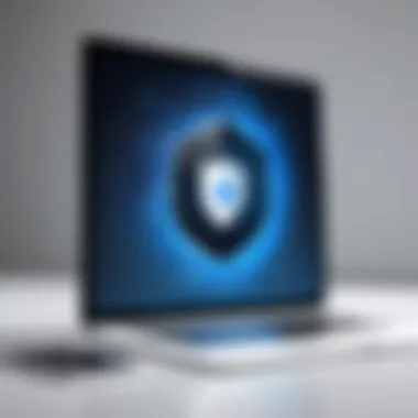 Enhancing Online Privacy with VPN Illustration of privacy protection online