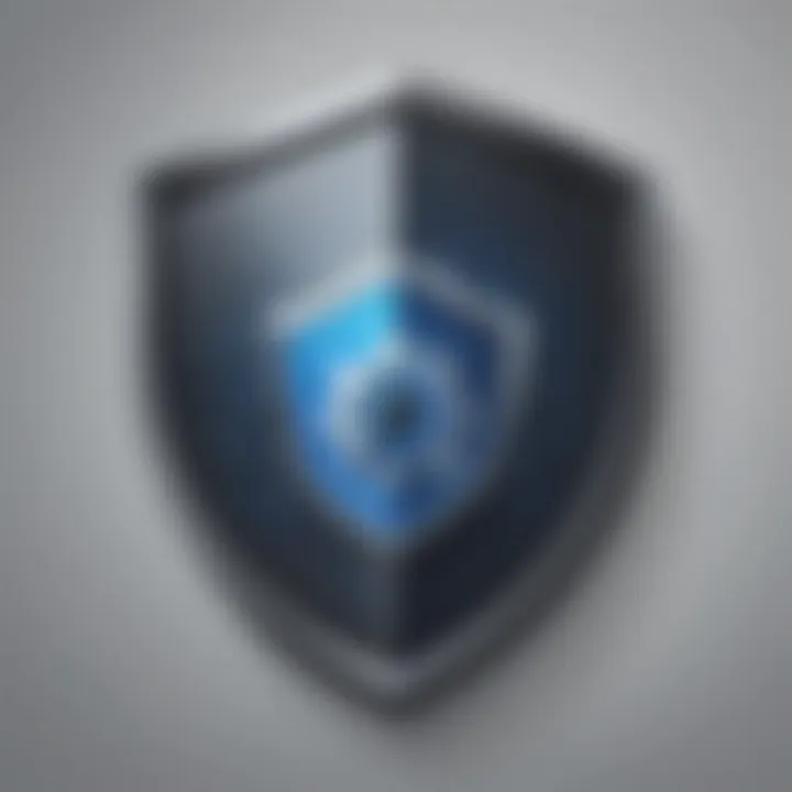 Cyber Protection Shield Icon