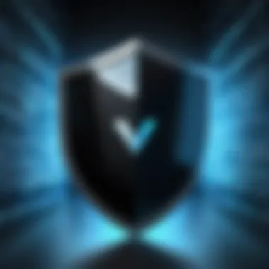 A virtual shield representing online privacy