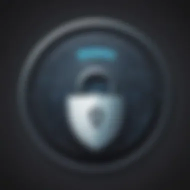 Secure Connection Shield Icon