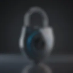 Digital Padlock Security Concept