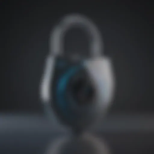 Digital Padlock Security Concept