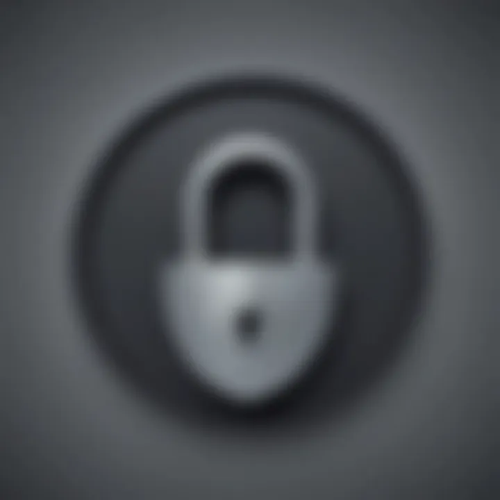 Virtual Private Network Security Lock