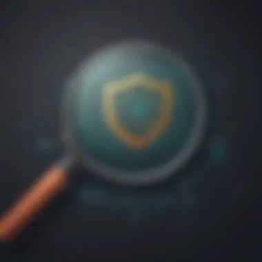 Shield with a magnifying glass